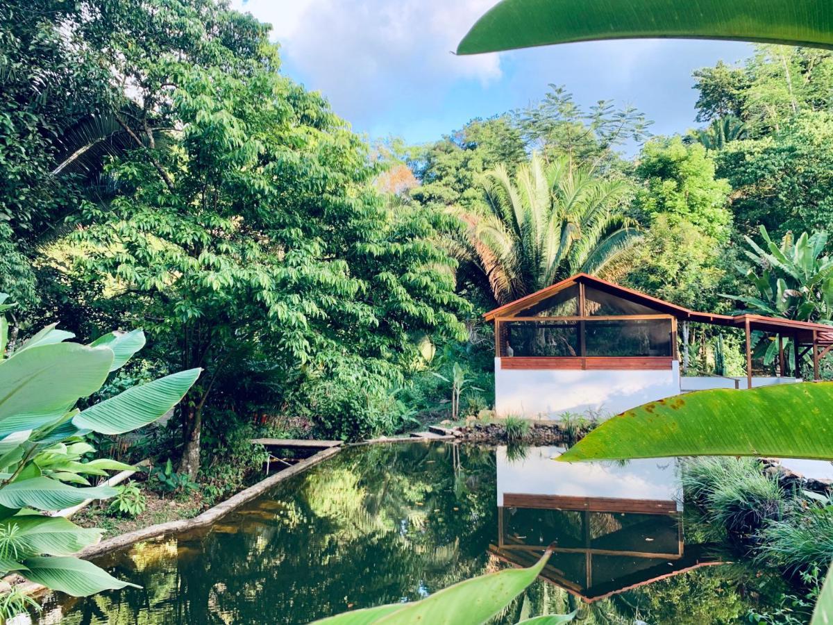 Sattva Land Hotel Belmopan Exterior photo